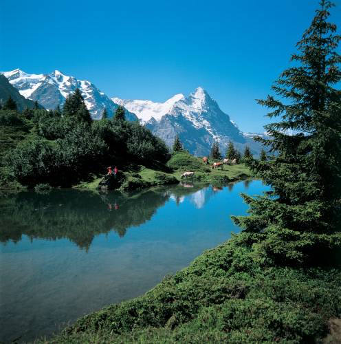 チューリッヒ・グリンデルワルド・ジュネーブ：イメージ